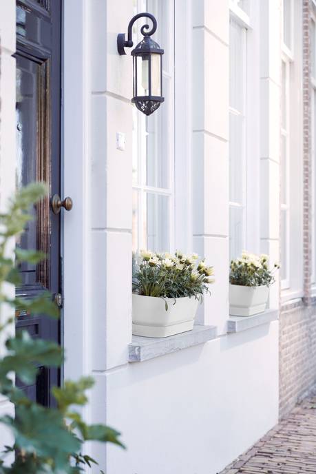 greenville trough lang 50cm wit